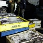 Siscomex permite a exportadores de recursos pesqueros ahorrar costos logísticos