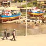 Declaran nueva área del río Biobío con emergencia de plaga Didymo