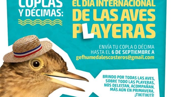 Tratamiento Complaciente robot Proyecto GEF Humedales Costeros celebrará el Día de las Aves Playeras con  novedoso concurso de payas - Entramar